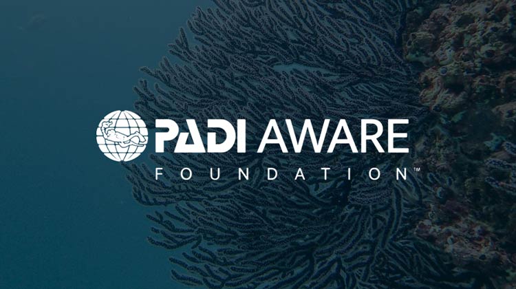 PADI's AWARE Eco-Tourist Specialty: Empowering Divers for Ocean Conservation